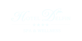 Logo Delfin